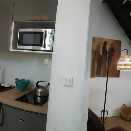 Duplex Sur Cour Interieure Apartamento Paris